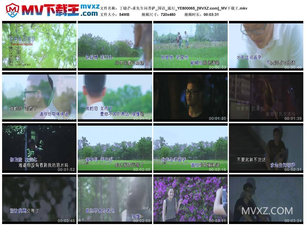 丁晓芒-求先生问菩萨_国语_流行_YE800065